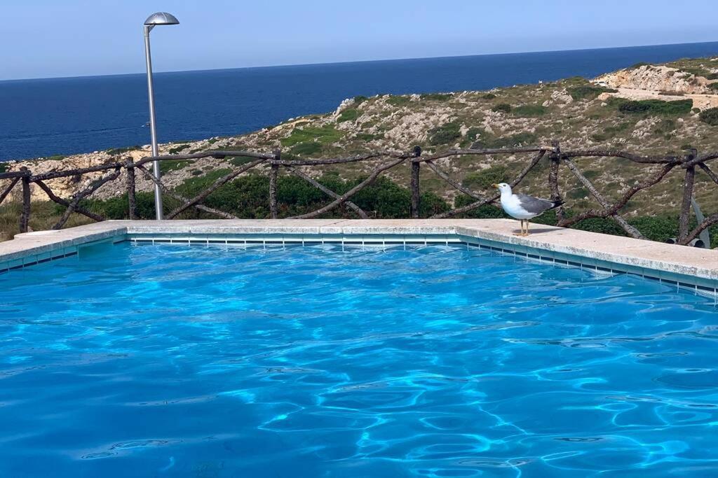 Apartamento A Estrenar Con Vistas Al Mar. Сон Парк Екстериор снимка